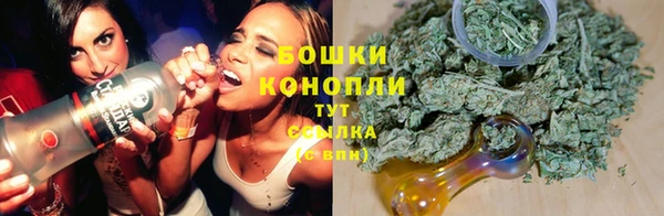 шишки Балахна